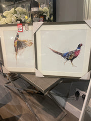 PHEASANT FRAMED PICTURE set of 2, 50X50CM Collect showroom