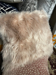 Cushion disposal SALE Instore only