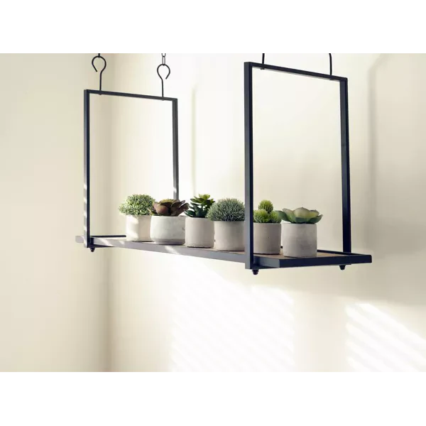 Jungle Garrigue Plant in Pot-Renaissance Design Studio