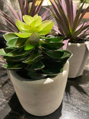 Jungle Plant in cement Pot 29551-Renaissance Design Studio