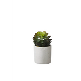 Jungle Plant in cement Pot 29551-Renaissance Design Studio
