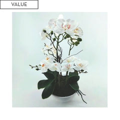 Real magic touch white orchids in white pot 43cm