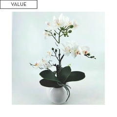Real touch white orchids in white pot 47cm instore purchase only
