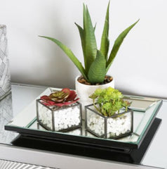 Value 33x27 Mirror Tray pay instore only purchase