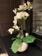 Real touch white orchids in white pot 47cm instore purchase only