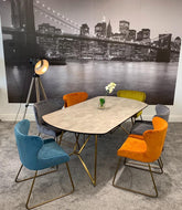 Signature Carla dining chairs for collection only .Selling off on disposal sale