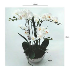Value 46cm White Real Touch Orchid Flower in Display Pot