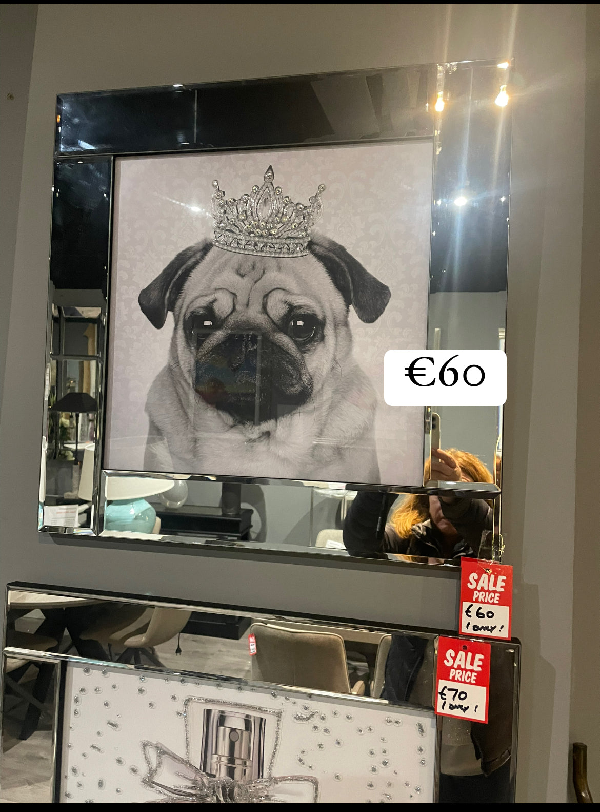 Framed dog  artwork 55 x 55 cm with chrome frame click n collect