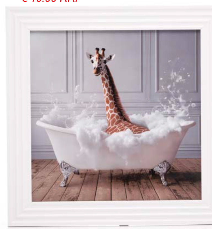 Framed pictures  various 40 x 40 cm Instore purchase Pre order minimum purchase is 2 units