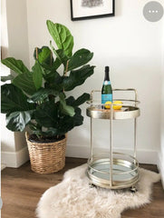 Round bar McG trolley October for collection only almost  Half price last one !