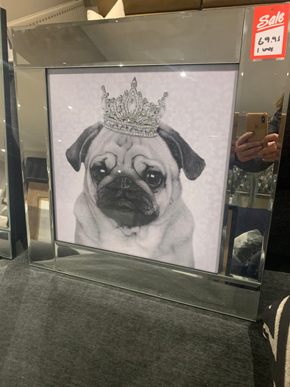Beautiful mirrored picture  pug clearance in Outlet store for collection only