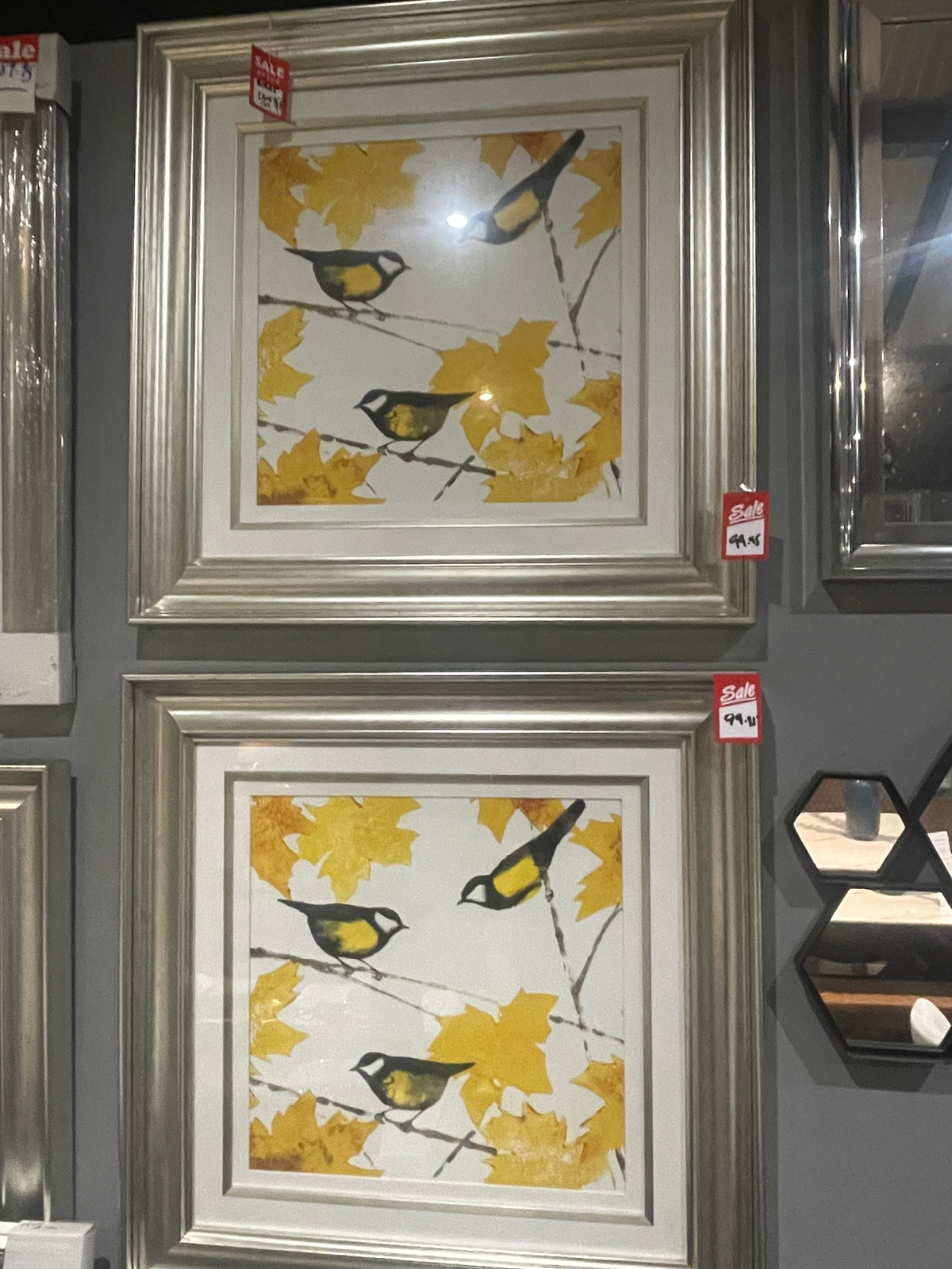 Birds on Champagne  frame wall art  Half Price reduced for Instore pick up