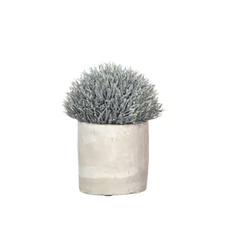 GARRIGUE artificial plant pvc - DIA 10 x H 14 cmArtificial Plant pot SALE PRICE-Accessories-Renaissance Design Studio