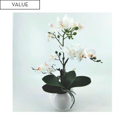 Real touch white orchids in white  pot 47cm instore purchase only