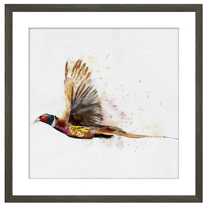 PHEASANT FRAMED PICTURE choice of images 50X50CM Click N Collect