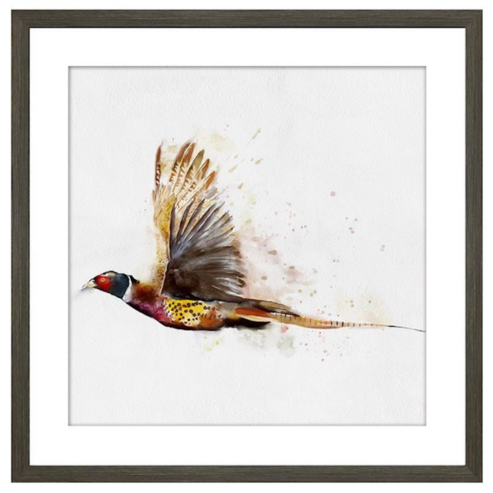 PHEASANT FRAMED PICTURE choice of images 50X50CM Collect  ex showroom
