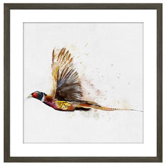 PHEASANT FRAMED PICTURE choice of images 50X50CM Collect  ex showroom