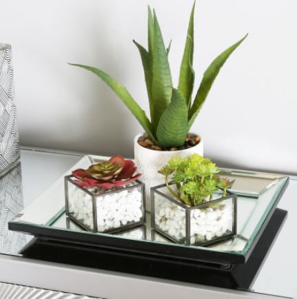 Value 33x27 Mirror Tray pay instore  only purchase