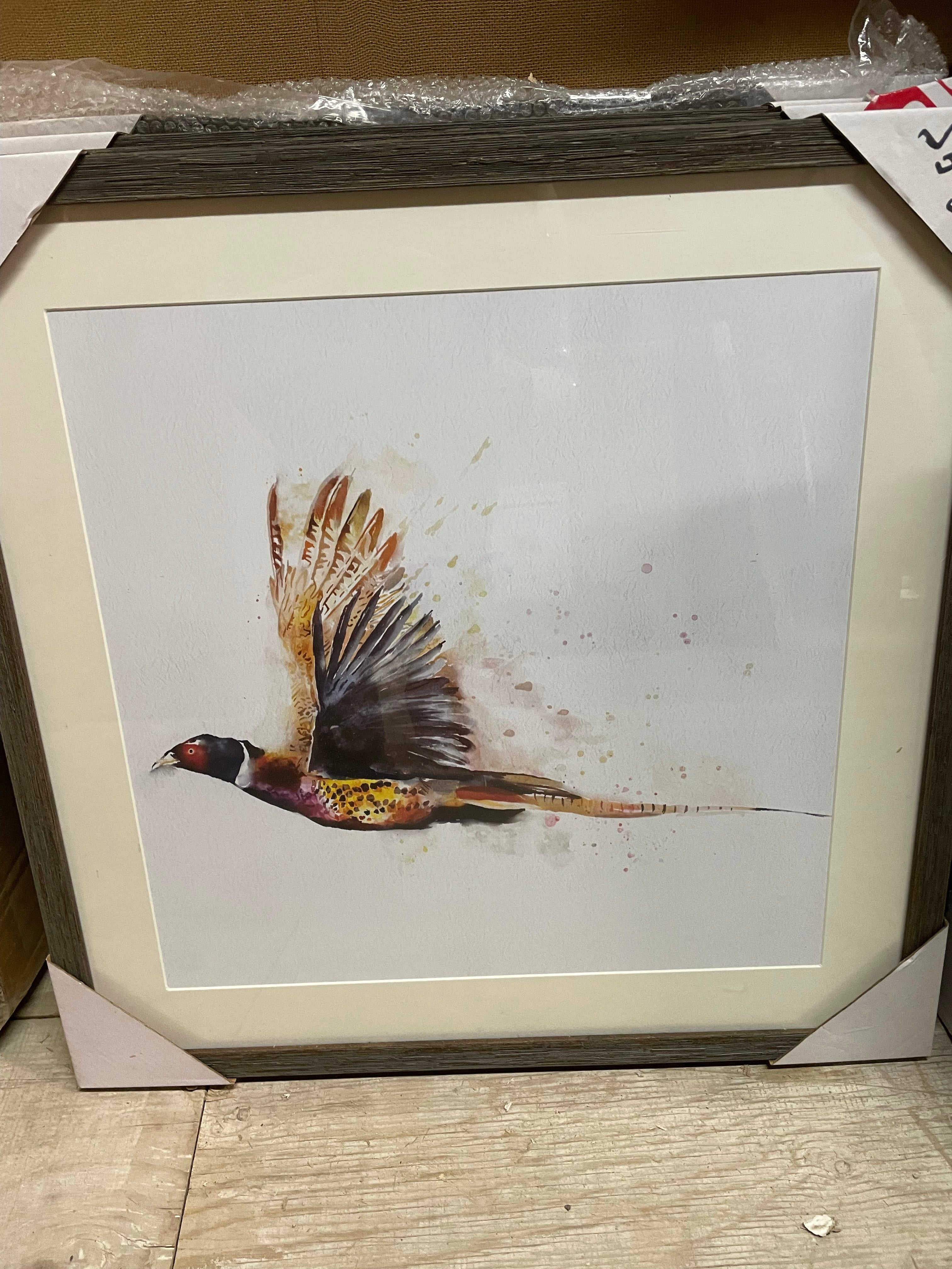 PHEASANT FRAMED PICTURE choice of images 50X50CM Collect  ex showroom