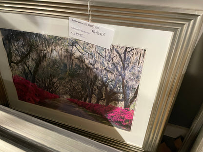 Azalea framed picture Instore Large  clearance for collection
