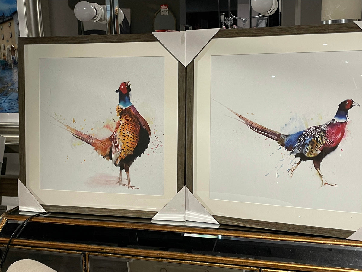 PHEASANT FRAMED PICTURE set of 2, 50X50CM Collect  showroom