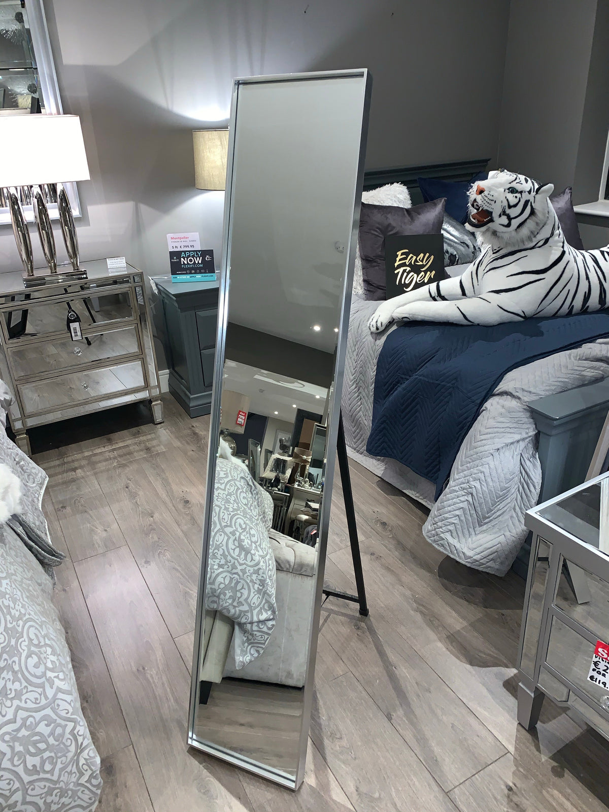 Arlene 150 cm brushed frame dressing mirror Instore only