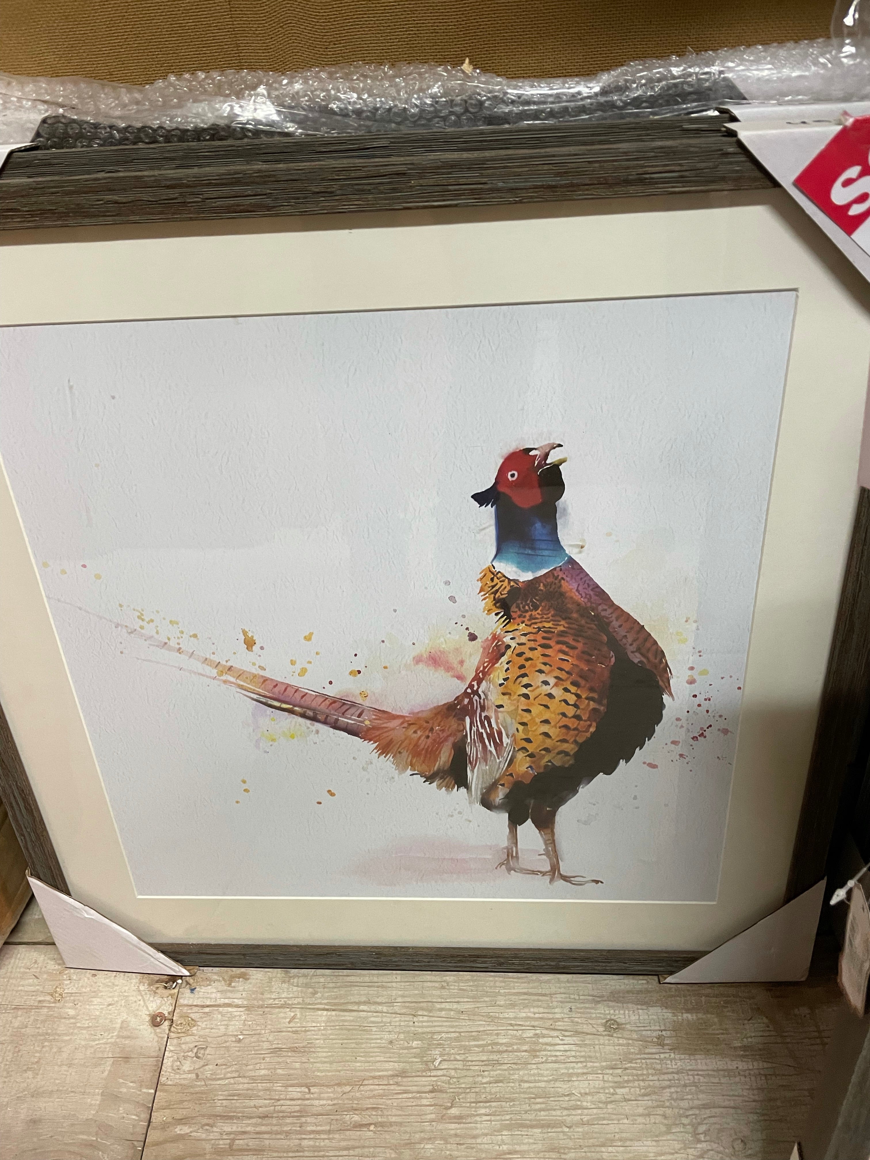 PHEASANT FRAMED PICTURE choice of images 50X50CM Collect  ex showroom