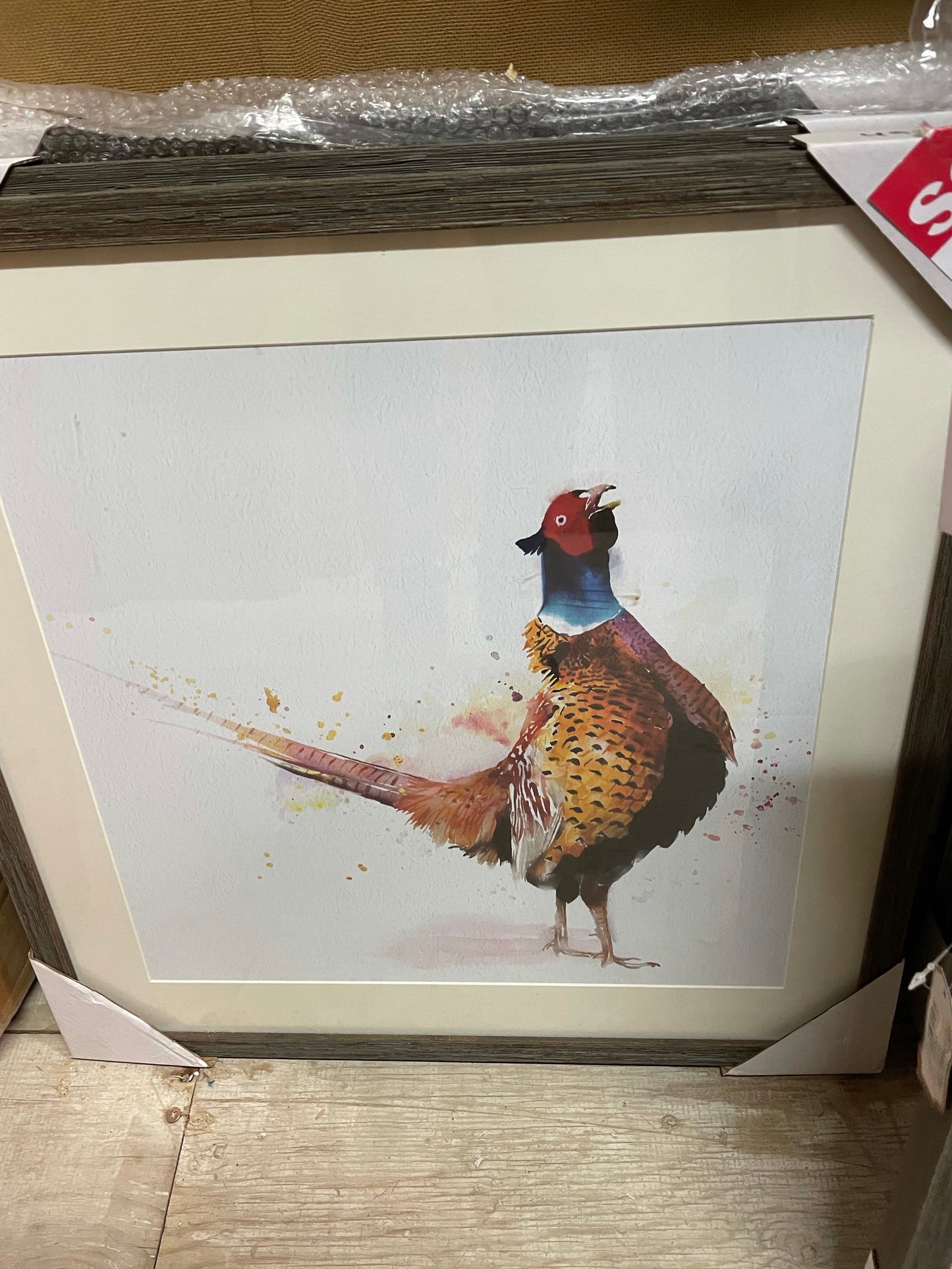 PHEASANT FRAMED PICTURE choice of images 50X50CM Click N Collect