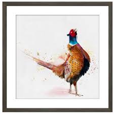 FRAMED PICTURE STANDING PHEASANT   50X50CM. CLICK N COLLECT