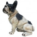 Sitting French  bulldog ornament  Click N collection only “real life like”